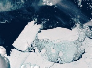antarctica icebergs