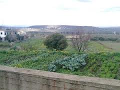 Minjez village, akkar lebanon