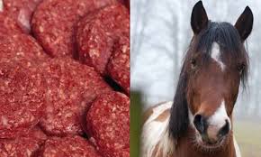 horsemeat IKEA