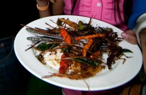 UN eat more insects