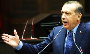 erdogan 050713