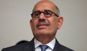 elbaradei  egypt vp