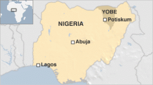 nigeria yobe map