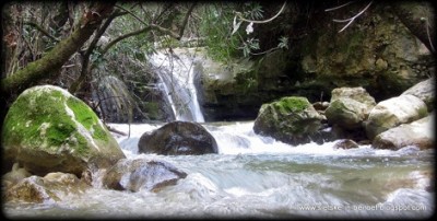 The  Barouk River and the Shouf Natural Reserve, near the village of Brih where Christaian Druze reconciliation meeting will take place this week