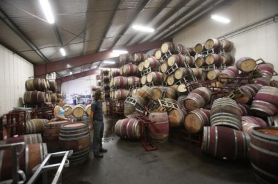 Andrew Brooks (C), associate winemaker of Bouchaine Vineyards, surveys fallen wine barrels after a 6.0 earthquake in Napa, California August 24, 2014. CREDIT: REUTERS/STEPHEN LAM