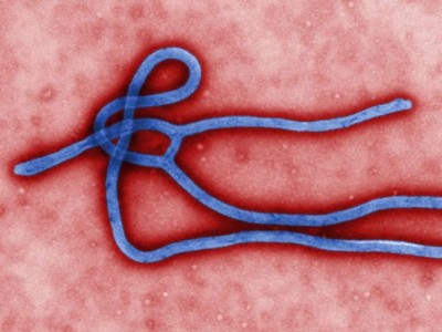 ebola