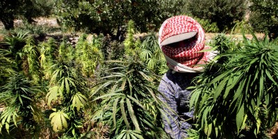 Lebanon's new drugs kingpin, Ali Nasri Shamas, shows off three tons of hashish and says business is flourishing in the shadow of the Syrian conflict
