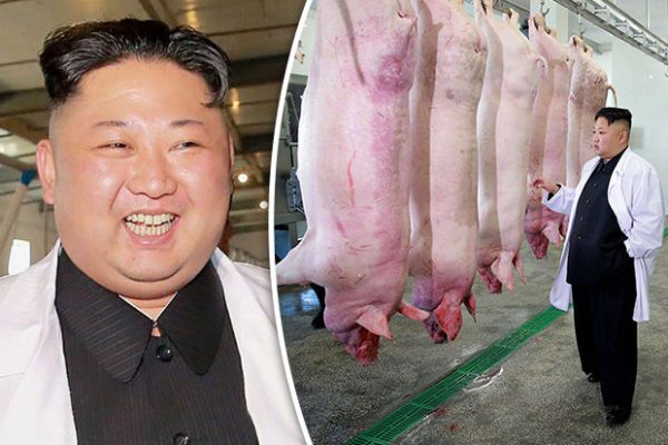Despite the tensions  Kim Jong-Un found time to viist a pig farm and slaughterhouse 