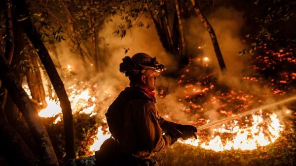 Cal Fire firefighter Mario Topete sprays water to help prevent flames from crossing Highway 29, north of Calistoga on Thursday. (Marcus Yam / Los Angeles Times)