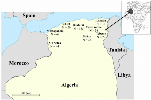 algeria map