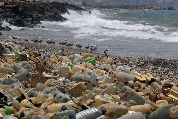 (FILES) In this file photo taken on July 19, 2018 seagulls search for food near a sewage discharge area next to piles of plastic bottles and gallons washed away by the water on the seaside of Ouzai, south of Beirut. Need another reason to hate plastics piling up in the environment? A study in the journal PLOS ONE on August 1, 2018 found that degrading plastics emit powerful greenhouse gases like methane and ethylene, and are a previously unaccounted-for source of these heat-trapping pollutants.Plastic water bottles, shopping bags, industrial plastics and food containers were all tested as part of the study. / AFP PHOTO / JOSEPH EID