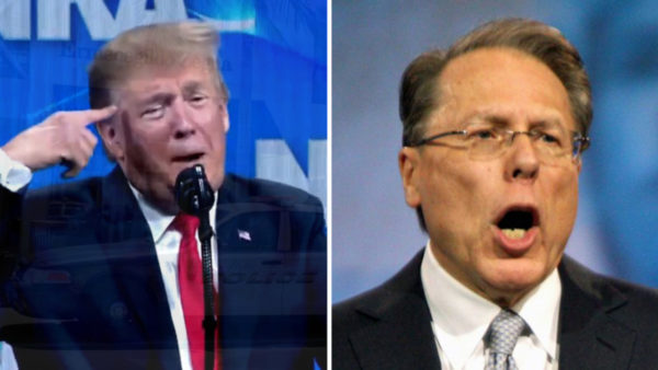 The National Rifle Association is in complete turmoil, but embattled chief Wayne LaPierre took time to call President Donald Trump personally after he told the press he was open to stricter background checks 