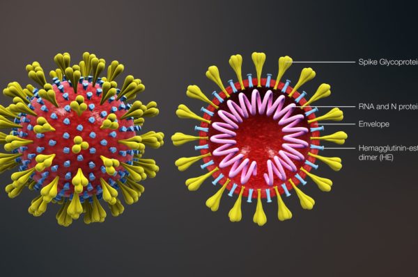 Scientists urge WHO to acknowledge virus can spread in air