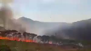 Wildfires erupt in Mount Lebanon  after heatwave hits country, video