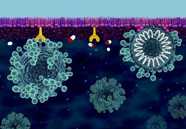 Building a cell membrane defense against COVID-19