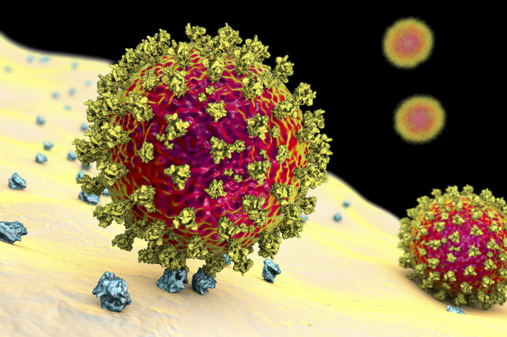 The New U K Coronavirus Variant Spreads Faster 50 More   BRITISH Virus Variant   1024x682 