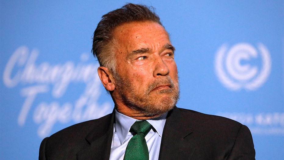 Schwarzenegger tells GOP to reject 'stupid, crazy and evil ...