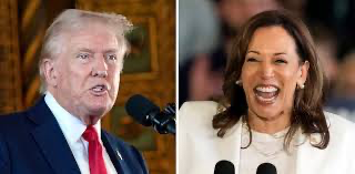 Harris holds steady, marginal 45%-42% lead over Trump, poll finds, Reuters